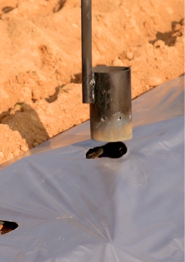MULCH HOLE MAKER